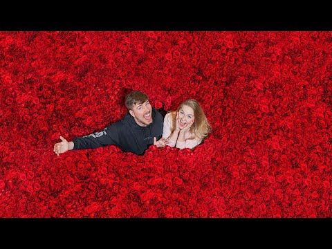 Surprising My Girlfriend With 100,000 Roses For Valentines Day